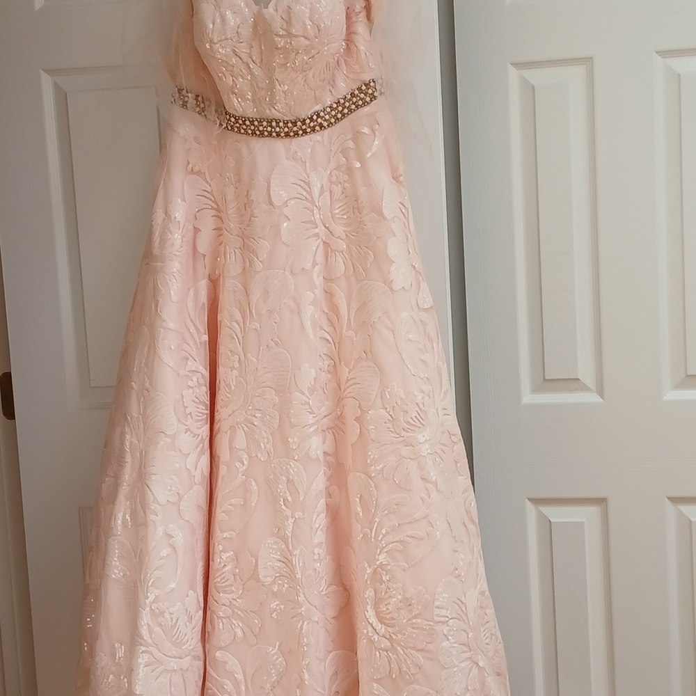 Camille La Vie Pale Blush Pink Floral Embroidered A-Line Gown with Jeweled Waist